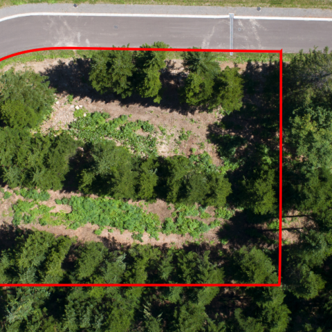 Screen Shot 2022-11-28 at 2.16.04 PM