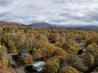 Screenshot 2024-07-05 at 12.50.05 PM