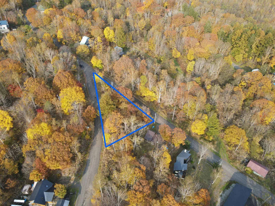 387642968_299499186248505_8013802982301364805_n