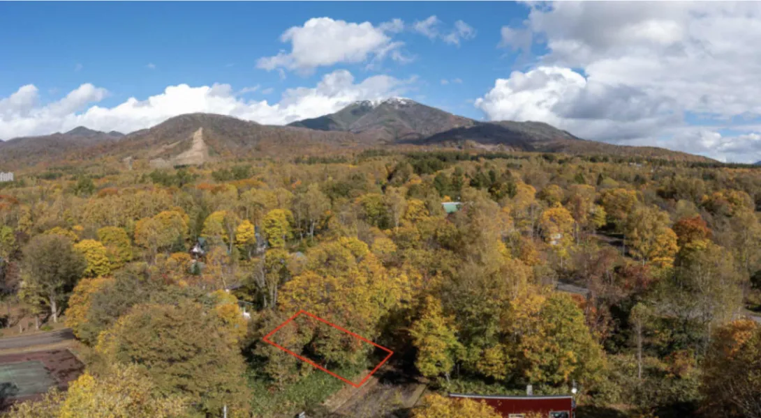 Screenshot 2024-07-05 at 12.50.30 PM